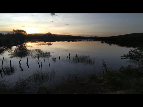 Várzea do Poço - Ba = 13/12/2025