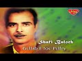 Shafi Baloch Gullab E Tou Pulley Balochi Regional Songs