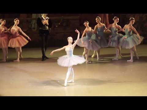 06-04-19 Дон Кихот  Повелительница  дриад