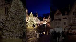 With its medieval charm Bruges is magical during Christmas 🎄✨️ #inbruges #travel #christmas #fyp