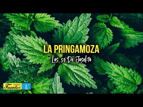 La Pringamoza- Los 50 de Joselito (Video Letra) | Discos Fuentes