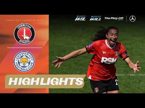 bg-highlight