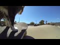 Cat Skating To Rapp Snitch Knishes 1 Hour