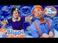 Blippi Meets All The Fish At The Aquarium Of The Pacific BEST OF BLIPPI TOYS