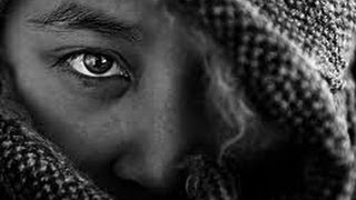 Admiral Fallow - Four Bulbs - Lyrics + Faces