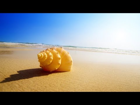 Chill Aqua - Nostalgia But it’s a 60 minute and 34 second loop