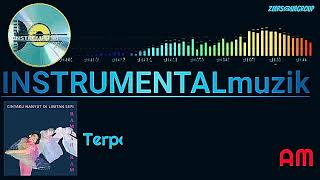 Terpandang wajamu RAMLAH RAM.lirik(khaty@zam)