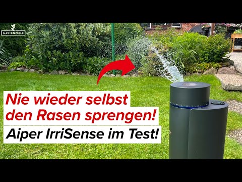 Smart Garden Upgrade: So einfach geht Bewässerung mit Aiper IrriSense