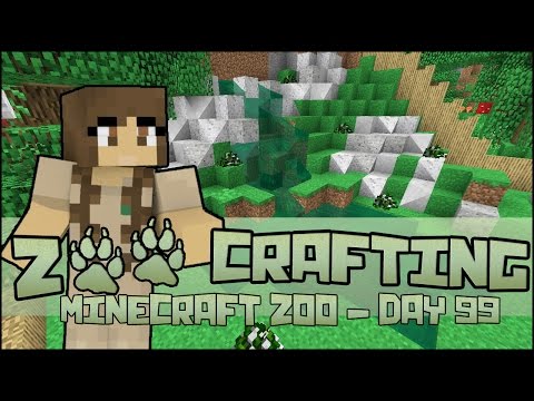 Waterfalls for Chinese Tigers!! 🐘 Zoo Crafting: Season 2 - Episode #99
