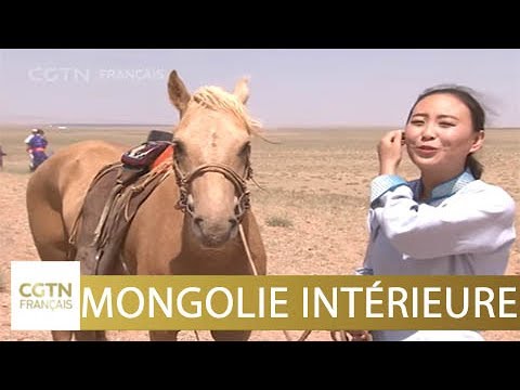 , title : 'Les Mongols et le cheval - Une histoire sans fin'