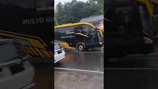 Download lagu Bus Mulyo Indah Scania meluncur di jalan basah mp3 Download lagu Bus Mulyo Indah Scania meluncur di jalan basah mp3