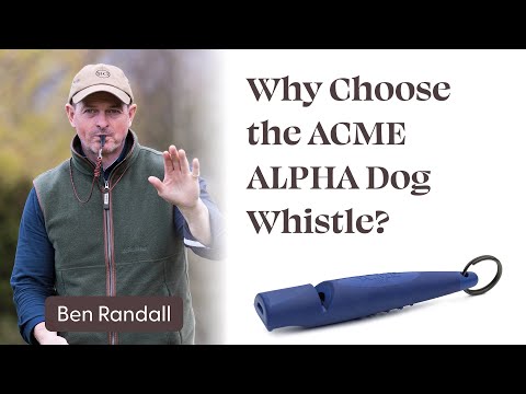 Why Choose the ACME ALPHA?