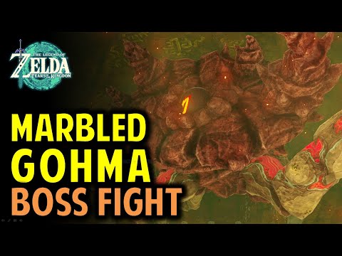 Marbled Gohma Boss Fight - How to Beat the Fire Temple Boss | Legend of Zelda: Tears of the Kingdom