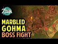 Marbled Gohma Boss Fight - How to Beat the Fire Temple Boss | Legend of Zelda: Tears of the Kingdom