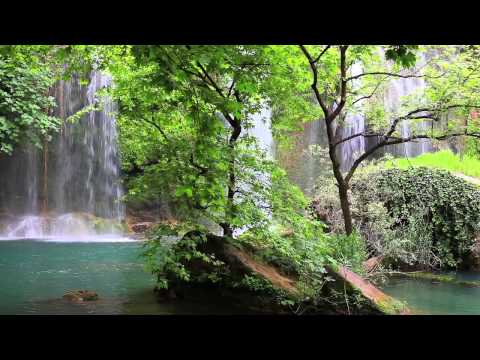 download lagu mp3 mp4 Satori Sounds, download lagu Satori Sounds gratis, unduh video klip Satori Sounds