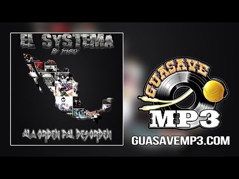 El Systema "By Sharky" - Perfil Bajo (Estudio 2014)