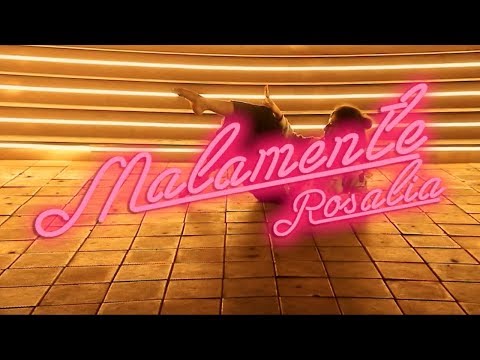 Rounak Ameriya  DOP Rounak Ameriya