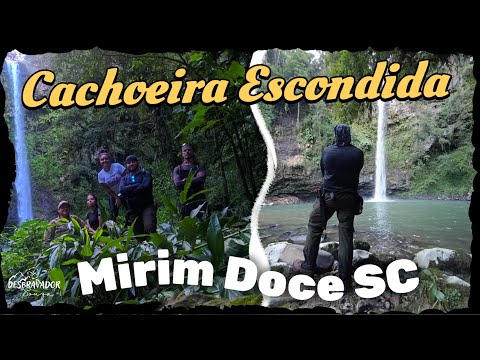 CACHOEIRA ESCONDIDA EM MIRIM DOCE SC #trilha #santacatarina #brasil #cachoeira