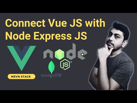 CRUD with API Call using Vue 3 Composition API Hindi