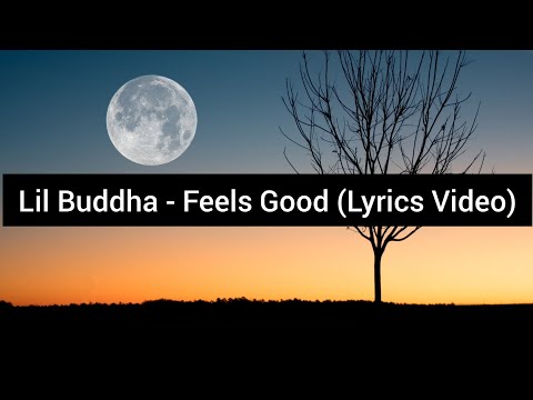 SACAR aka Lil Buddha ft. Starboi Virgin x Ninja - Feels Good (LYRICS VIDEO)