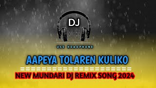 Download lagu NEW MUNDARI DJ SONG 2024 || NEW MUNDARI DJ REMIX SONG || AAPEYA TOLAREN KULIKO ||DJ CHANDRA SINGH mp3