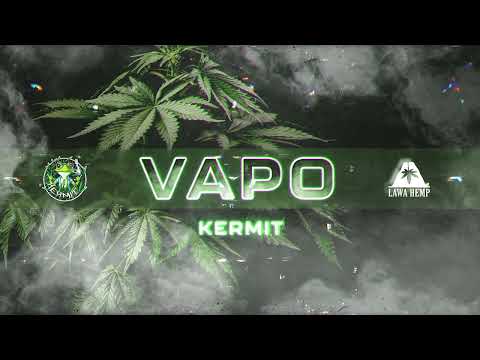 Kermit - Vapo (prod.Damian Def)
