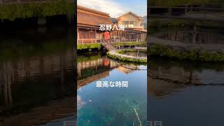 #忍野八海　#癒し　#山梨旅行  #誰かの日常