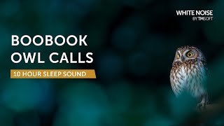 Boobook (Mopoke) Night Owl - 10 Hours Sleep Sound - Black Screen