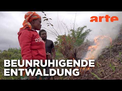 Video Thumbnail: Madagaskar: Ein Raub der Flammen | ARTE Reportage Reupload