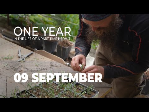 One Year in the Life of a Part Time Hermit - September - Of floors, bracken and thunderstorms