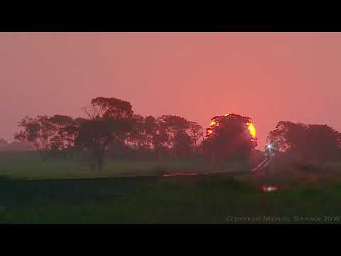 Train arrives at sunset (Timelapse) - PoathTV