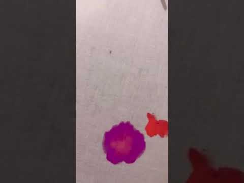 Painting Loose flowers on fabric