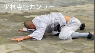 【少林寺】蛙のカンフー　少林寺の僧侶の跳躍力がすごい　#Shorts #youtubeshorts