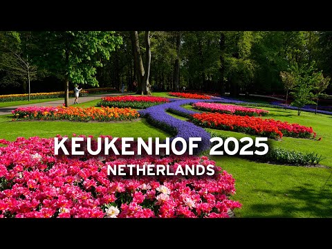 🇳🇱 Keukenhof in Late April 2025 on a Sunny Afternoon  [4K]