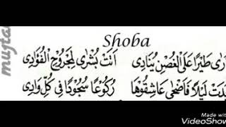 Download lagu Lagu Shaba KH. Muammar ZA mp3 Download lagu Lagu Shaba KH. Muammar ZA mp3