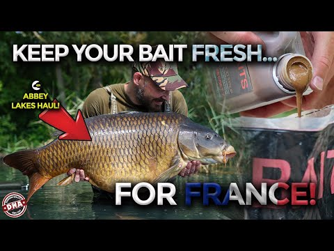 ***HOW TO KEEP YOUR BAIT FRESH FOR FRANCE*** DEVASTATING ABBEY LAKES MIX | DNA BAITS | CARP FISHING