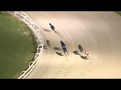 2018 ASTUTE ELECTRONICS GOLD CUP - 3RD SEMI - T6 KING KID