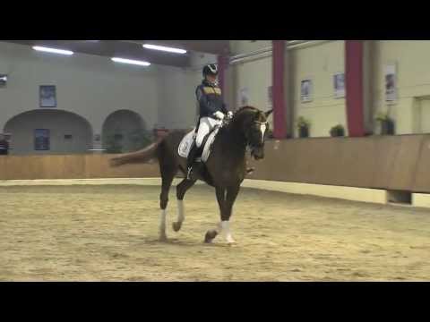 Dressage Team Xinjiang Promo Trailer 2013