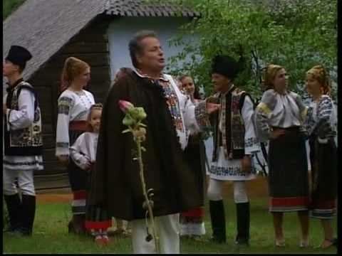 DANUT ABABEI - Alexandru Dumbrava - Busuioc moldovenesc
