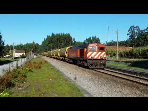 Comboio Especial n.º 98202 - Guia