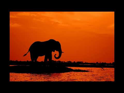 Project Mastodon - FULL AUDIOBOOK by Clifford D. Simak