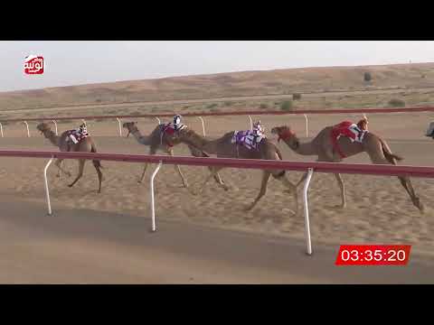  ش 19 (فنون) لـ سيف جعفر بن مرخان الكتبي 8:09 , شارة الديوان 2026/3/02 لقايا الجبيب