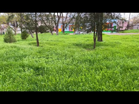 Крым, Джанкой, что новенького?