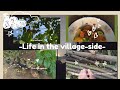 peaceful village life ☁️🍃|vlog
