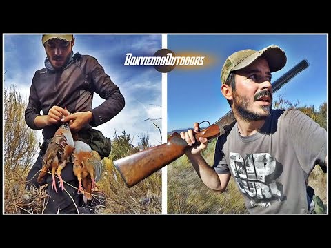 CAZA de PERDICES SALVAJES no aptas para cualquiera ¡MACHAZOS!