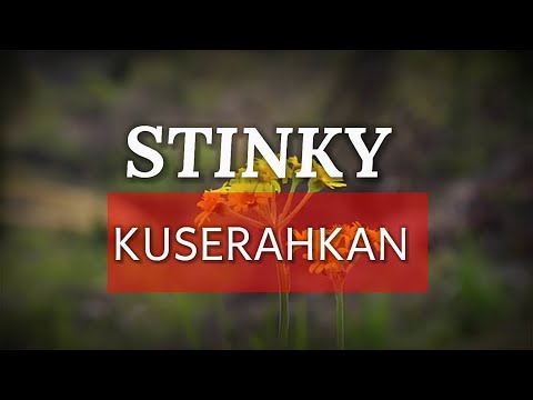 Stinky - Kuserahkan |Lyrics
