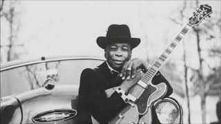 JOHN LEE HOOKER - Live in Washington D.C. (1982) - Full Album