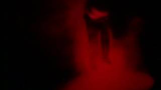 Dismember...Dreaming In Red