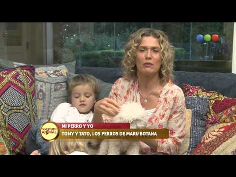 Mi perro y yo: Maru Botana presenta a su perro - Diversión Animal