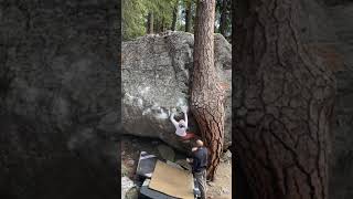 Video thumbnail of Twisted Tree, V4. Leavenworth